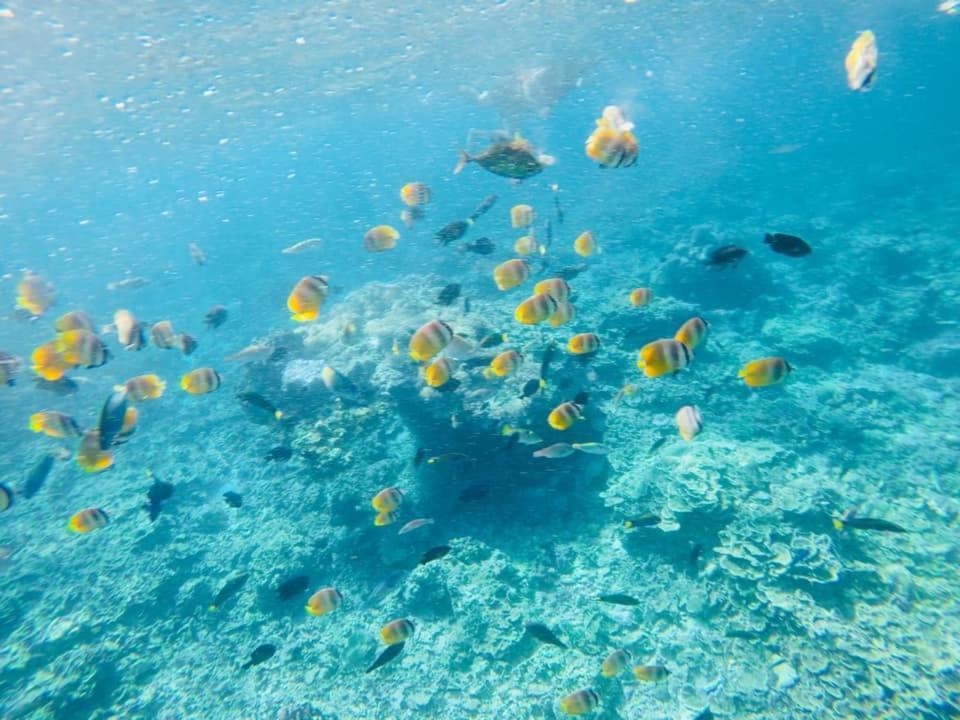 Sealovers' Place Masasa Beach バタンガス エクステリア 写真